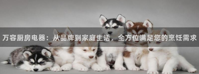 鸿运推广平台