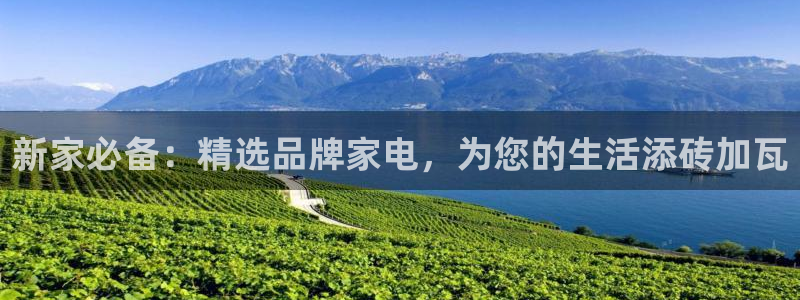 琥珀鸿运是个国际平台吗