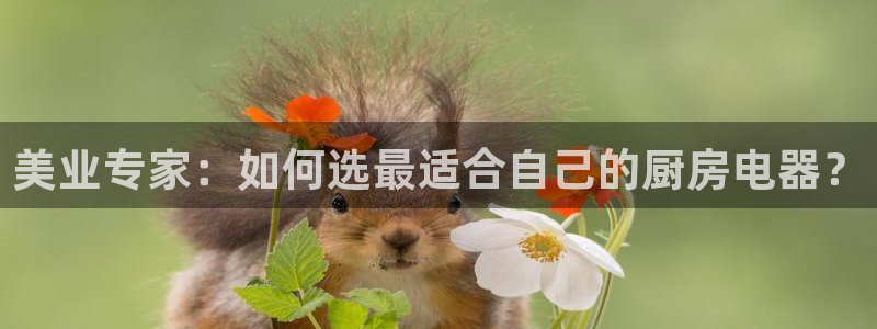 鸿运国际体育平台