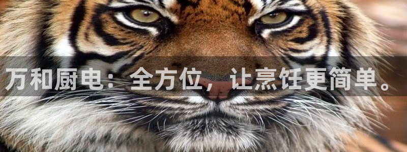 鸿运彩票平台可靠吗