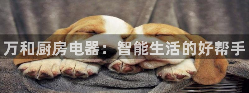 焦作鸿运招人信息平台