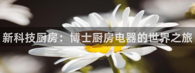 鸿运在线是什么平台