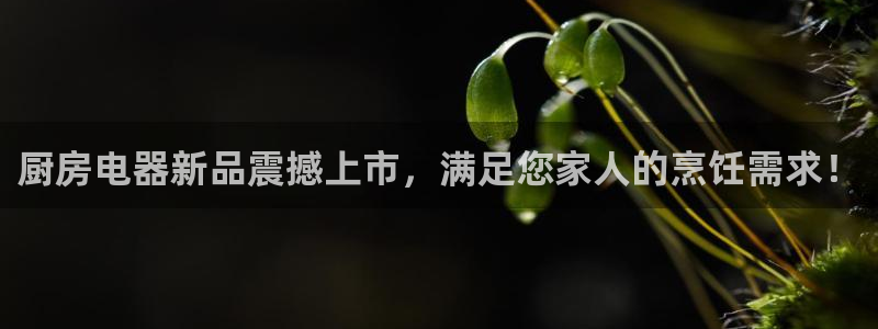 鸿运国际网址平台