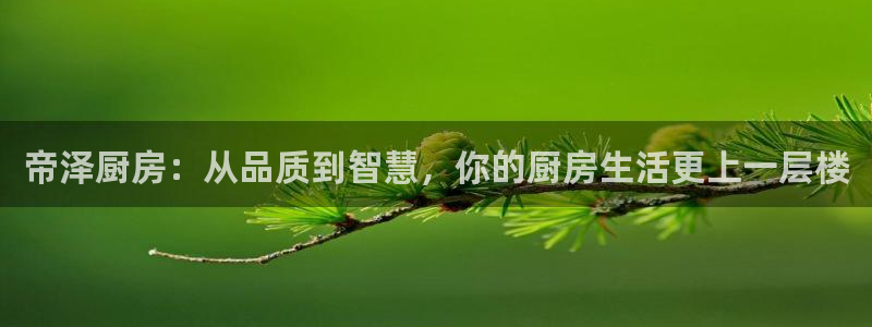 鸿运最大的直播平台