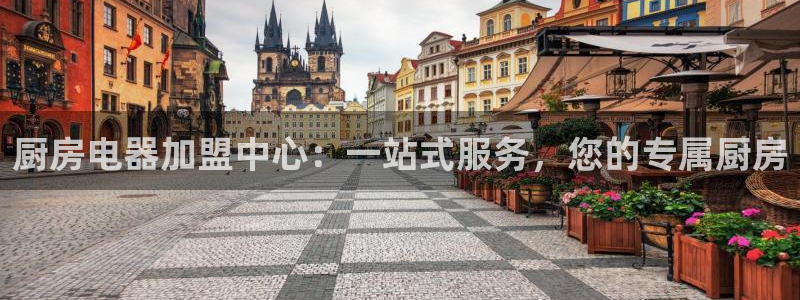 鸿运平台投资诈骗