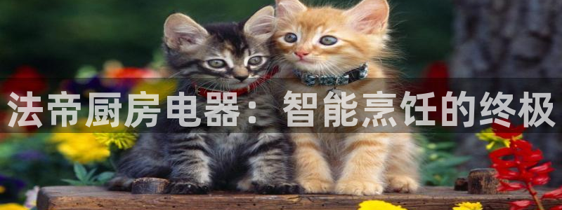 铜陵鸿运拍卖平台