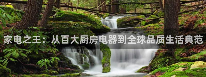 鸿运国际外汇平台