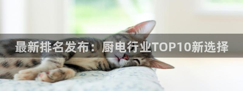 鸿运游戏平台投注