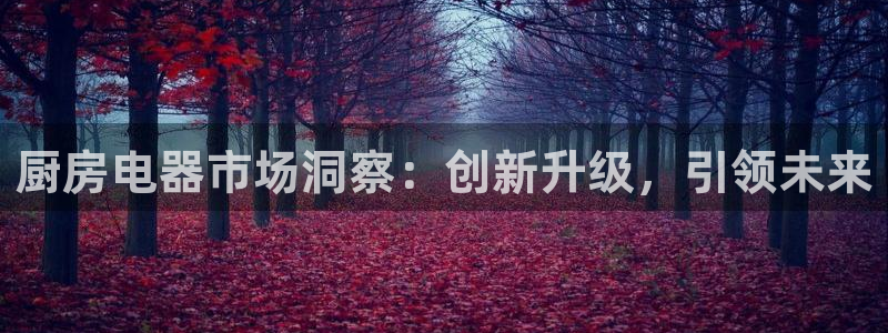 琥珀鸿运是什么平台