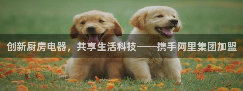 鸿运供应管理平台