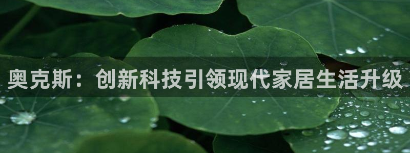 鸿运食品直播平台