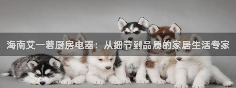 鸿运宝理财平台