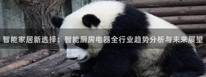 鸿运平台代理鸿运