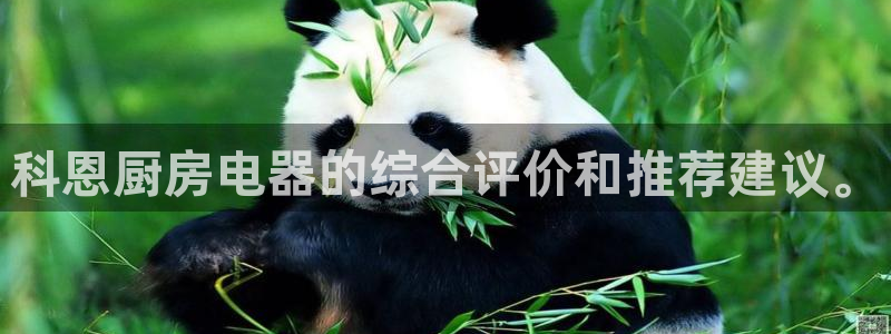 鸿运彩票是正常的平台吗