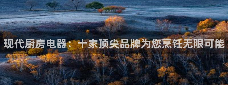 鸿运平台是大平台吗