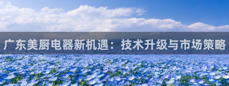 鸿运平台正规吗