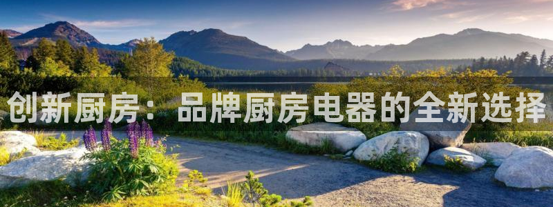 鸿运平台代还骗局