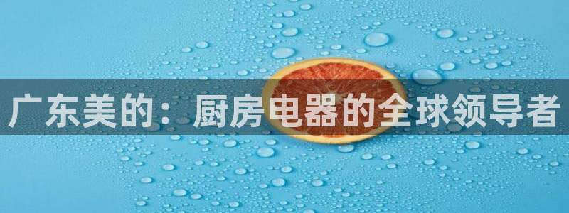 会员鸿运国际平台