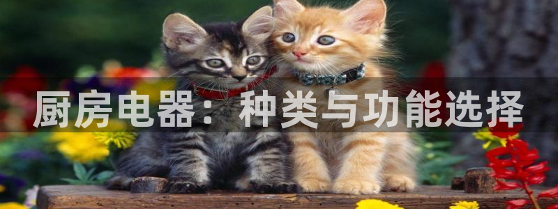 鸿运当头贷款平台