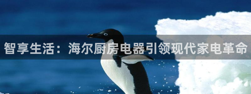 鸿运电商平台茶