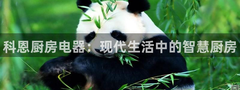 鸿运直播彩票平台