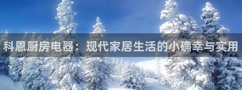 新鸿运股票平台