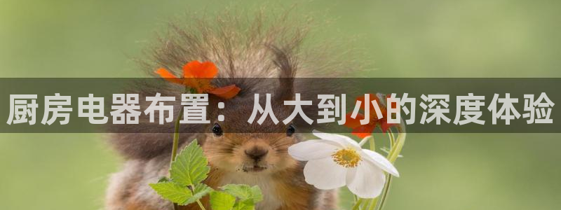 鸿运彩票专业平台