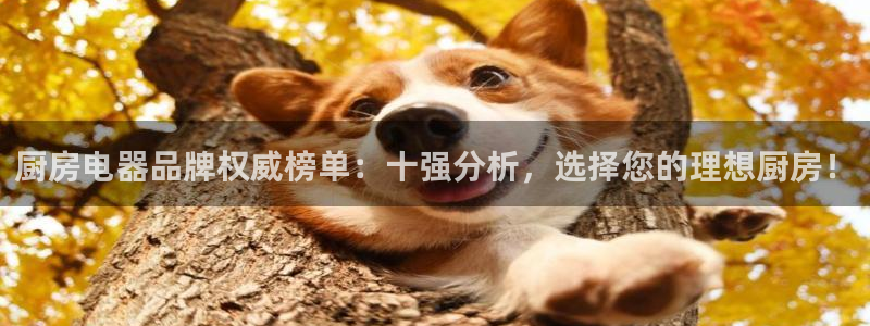 鸿运仓储直播平台