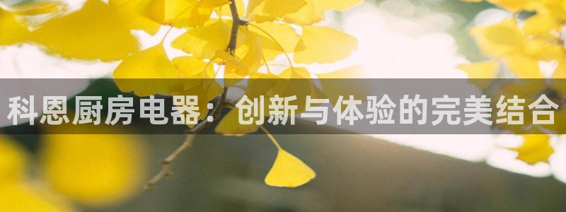 鸿运外贸直播平台