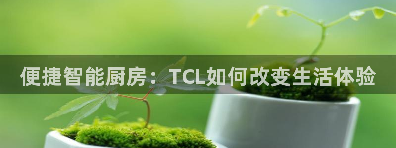 鸿运牛骨服务平台