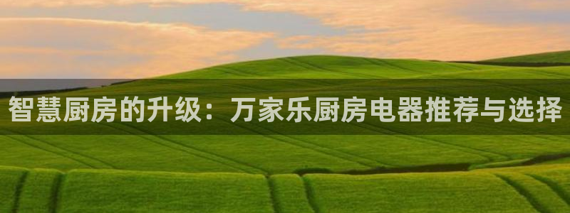 鸿运牛骨服务平台