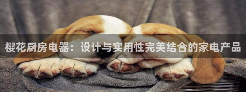 鸿运手机棋牌平台