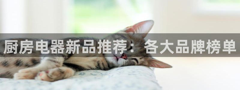 鸿运当头贷款平台