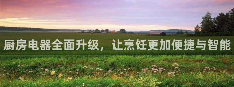 会员鸿运国际平台