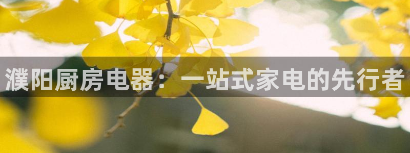 鸿运彩票平台带玩