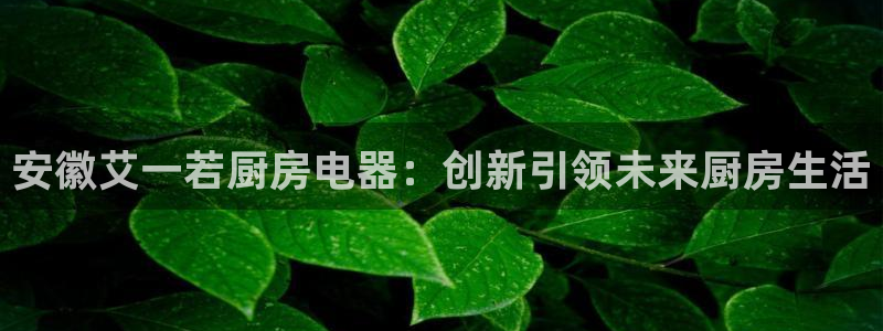 东方阿保鸿运购物平台