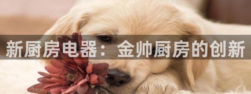 鸿运app直播平台