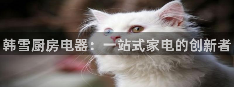 鸿运资本平台被骗