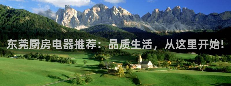 鸿运集团有几个平台